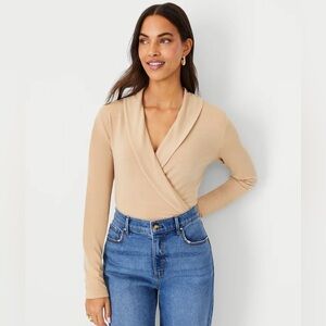 Ann Taylor sweater